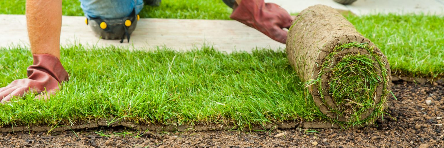 Cumming GA Sod Installation | Bermuda Sod Replacement | Zoysia Sod