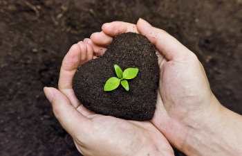 hands full of heart shaped soil